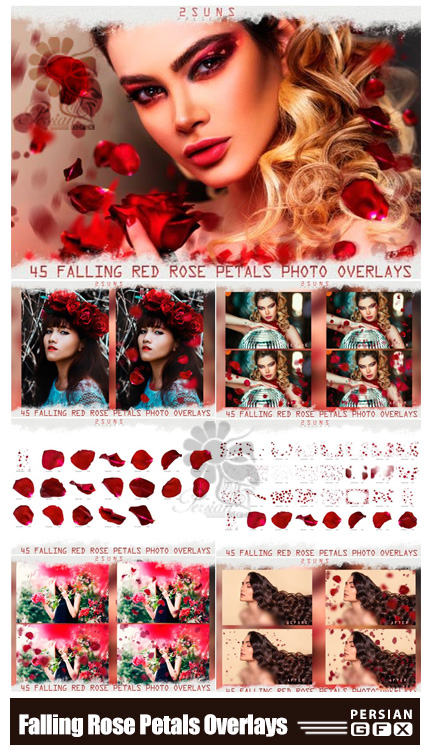 دانلود تصاویر پوششی ریزش گلبرگ های رز قرمز - Falling Rose Petals Photo Overlays
