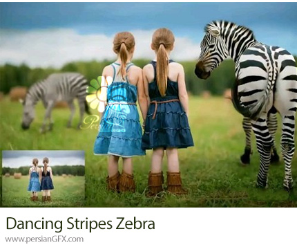 دانلود آموزش ساخت تصاویر ترکیبی با استفاده از فتوشاپ و لایتروم - Dancing Stripes Zebra: Editing Video