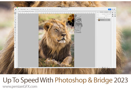 آموزش به روز رسانی و بهبود مهارت خود با ادوبی فتوشاپ و بریج 2023 - Up To Speed With Photoshop And Bridge 2023