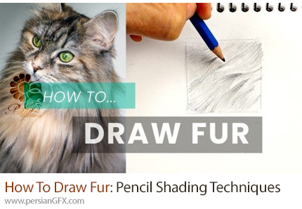 آموزش نحوه طراحی خز و تکنیک های سایه زدن با مداد برای طراحی حیوانات - How To Draw Fur: Pencil Shading Techniques For Drawing Animals