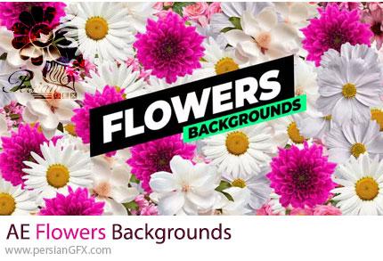 دانلود پروژه افترافکت بک گراند موشن گل های رنگی + آموزش - Flowers Backgrounds