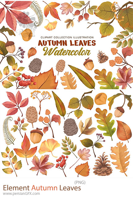 دانلود کلیپ آرت المان برگ های پاییزی - Element Autumn Leaves