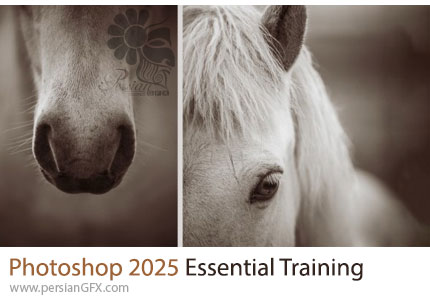 آموزش نکات ضروری ادوبی فتوشاپ 2025 - Photoshop 2025 Essential Training