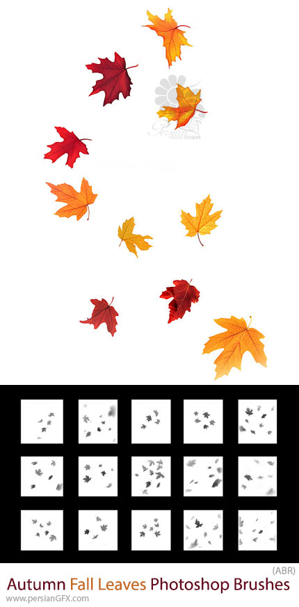 دانلود 15 براش فتوشاپ برگ های پاییزی - Autumn Fall Leaves Photoshop Brushes