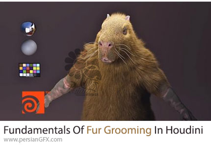 آموزش مبانی شبیه‌سازی و آرایش مو در هودینی - Fundamentals Of Fur Grooming In Houdini