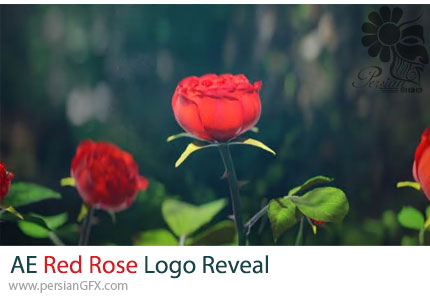 دانلود پروژه افترافکت انیمیشن نمایش لوگو با باز شدن گل رز + آموزش - Red Rose Logo Reveal