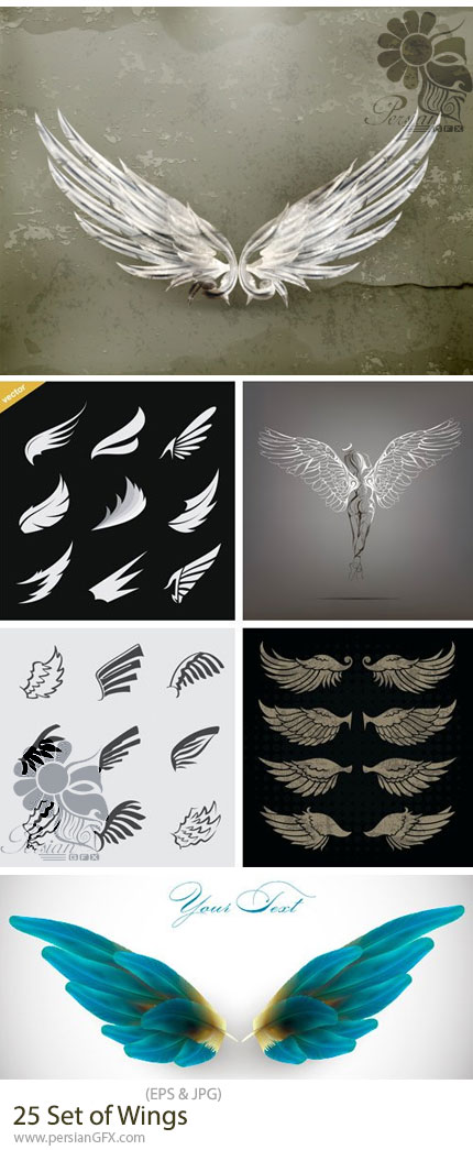 دانلود 25 قالب وکتور مدل های متنوع بال برای طراحی گرافیک - Set of Wings