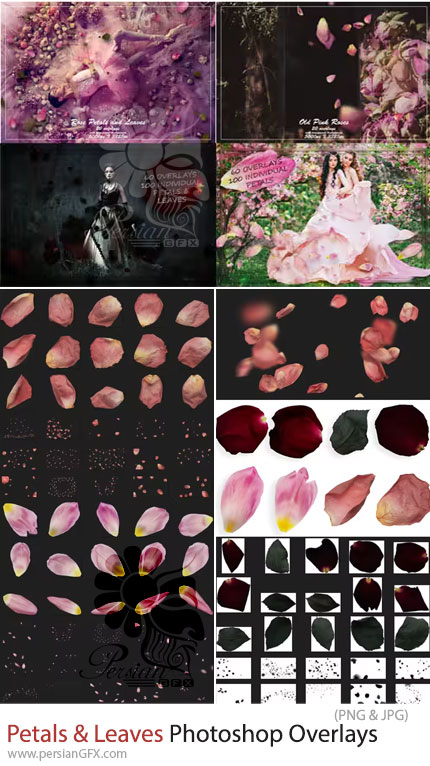 دانلود بیش از 500 تصویر پوششی گلبرگ و برگ - Petals and Leaves Bundle 500+ Photoshop Overlays Collection