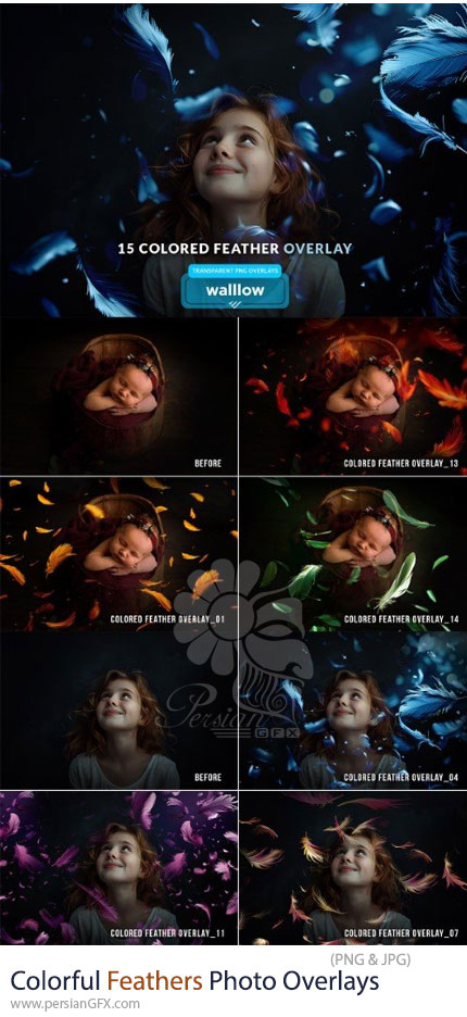 دانلود 15 تصویر پوششی پرهای رنگی برای عکس و طراحی - Colorful Feathers PNG Photo Overlays