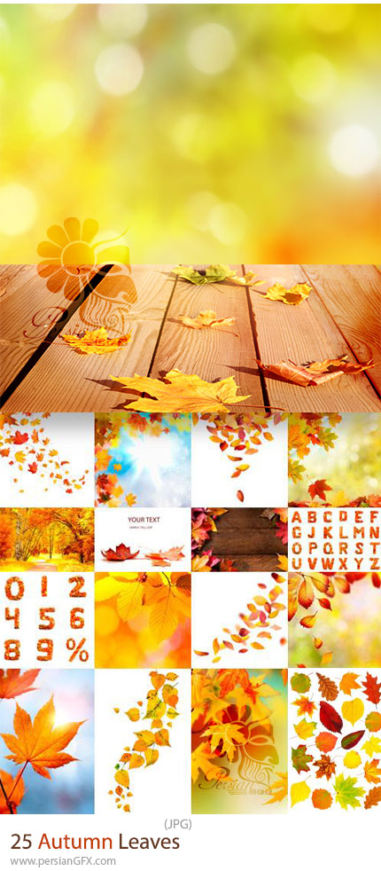 دانلود 25 عکس با کیفیت برگهای پاییزی - Autumn Leaves