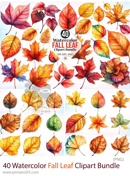 دانلود 40 کلیپ آرت برگ های پاییزی آبرنگی - Watercolor Fall Leaf Clipart Bundle