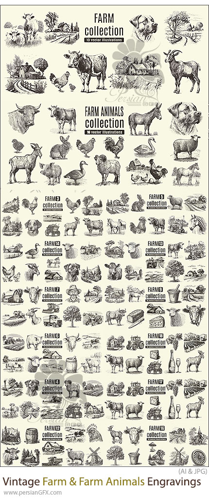 دانلود مجموعه وکتور المان های مزرعه و حیوانات به سبک حکاکی وینتیج - Vintage Farm & Farm Animals Engravings