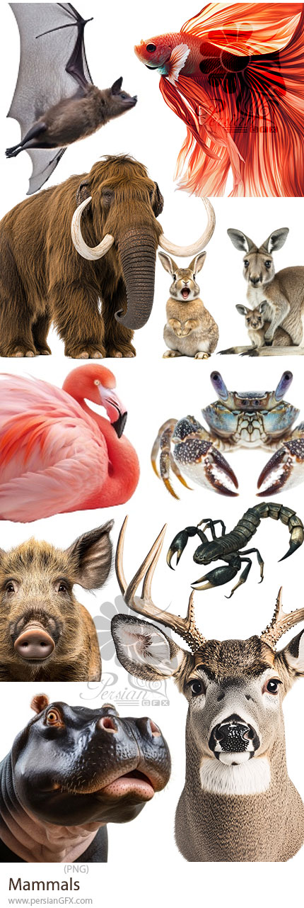 دانلود 26 تصوی PNG پستانداران مختلف شامل ماموت، فیل، گوزن، زرافه و ... - Mammals