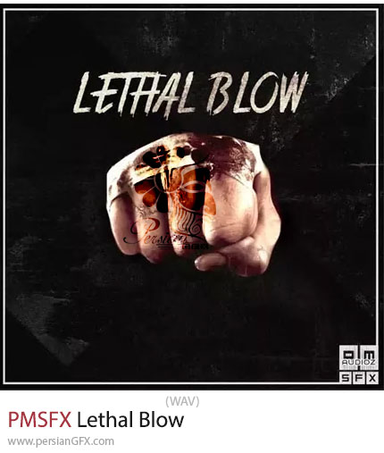 دانلود پک افکت های صوتی مبارزه و ضربه - PMSFX Lethal Blow