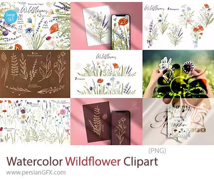 دانلود مجموعه کلیپ آرت عناصر تزئینی آبرنگی گل های وحشی - Watercolor Wildflower Clipart