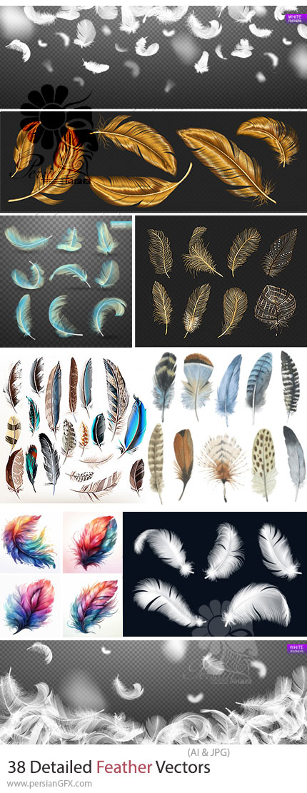 دانلود 38 وکتور پر طبیعی و واقعگرایانه با جزئیات بالا - Detailed Feather Vectors
