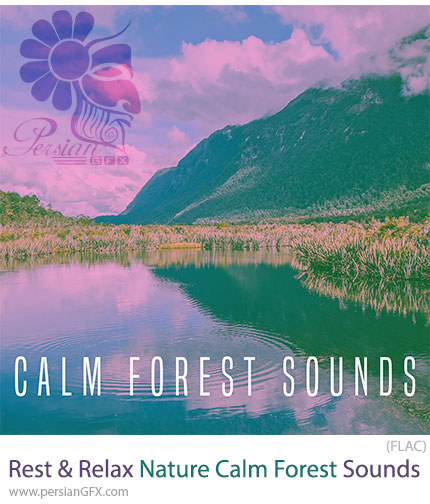 دانلود پک افکت صوتی طبیعت و جنگل آرامشبخش - Rest And Relax Nature Sounds Calm Forest Sounds
