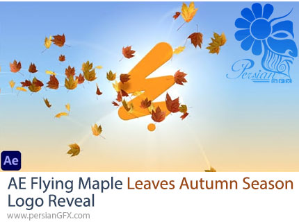 دانلود پروژه افترافکت لوگو ریویل پاییزی با برگهای افرا + آموزش - Flying Maple Leaves Autumn Season Logo Reveal