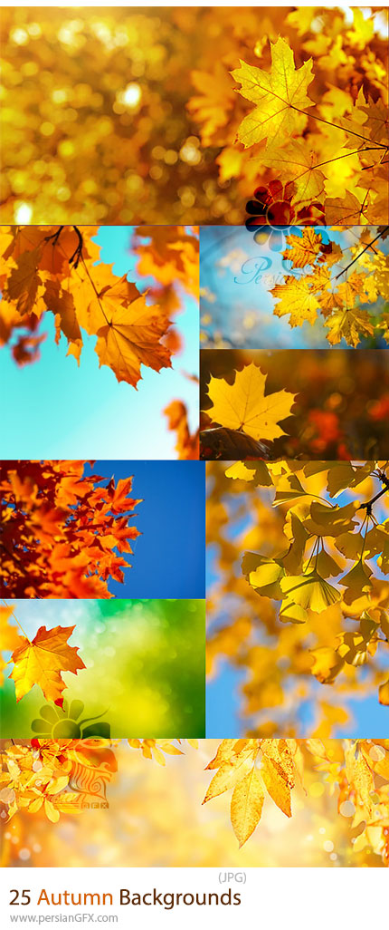 دانلود مجموعه 25 پسزمینه پاییزی با کیفیت بالا - Autumn Backgrounds