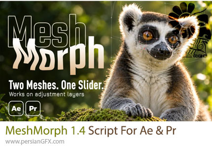 دانلود اسکریپت MeshMorph 1.4 برای تغییر شکل و مش‌بندی لایه‌ها در افترافکت و پریمیر پرو